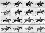 EadweardMuybridgeHorseinmotion