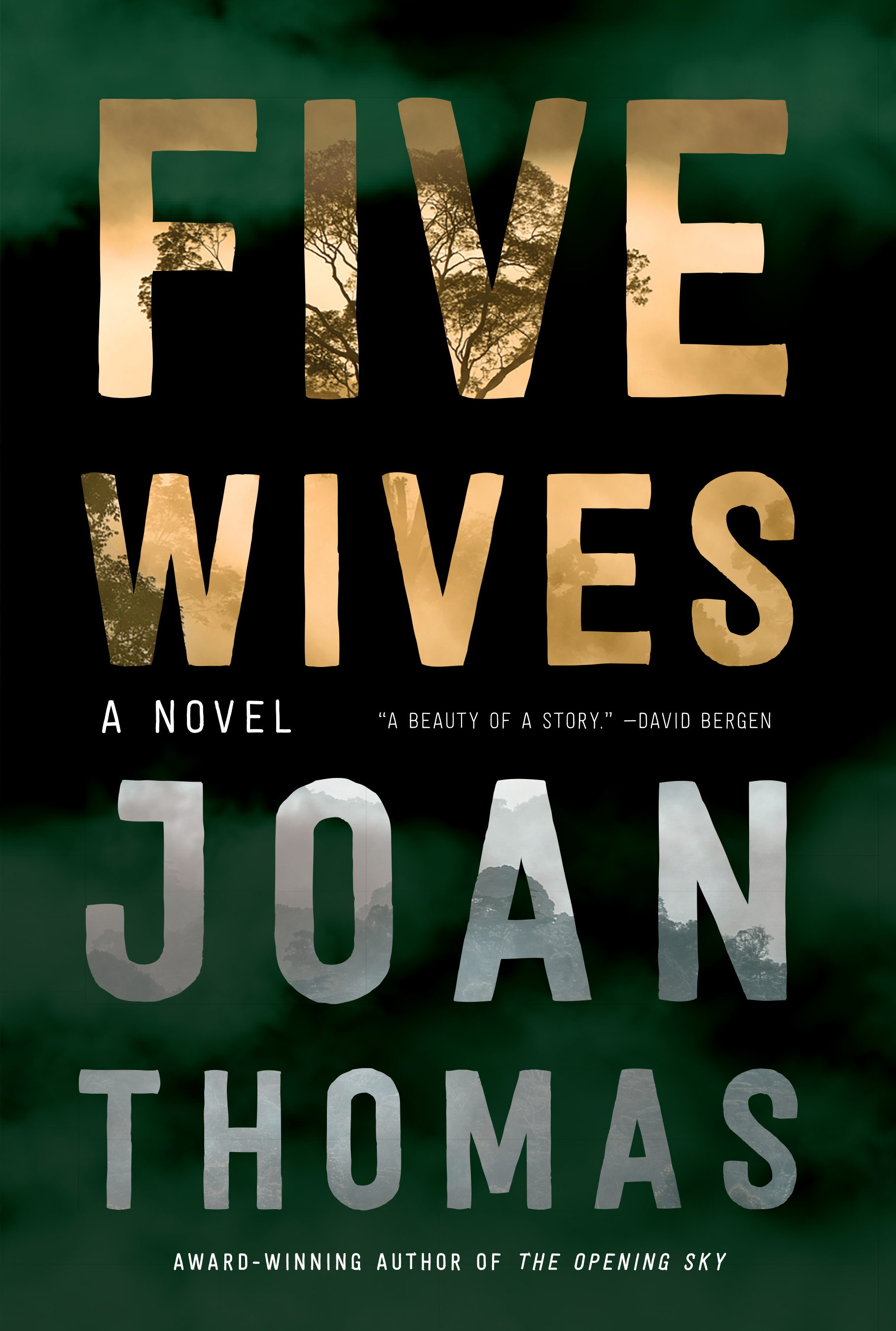 Five Wives book cover image