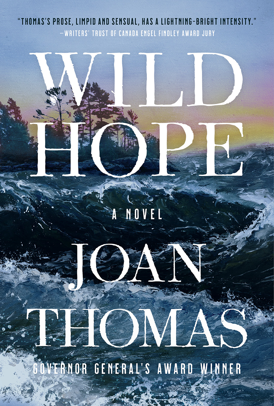 Wild Hope, a novel by Joan Thomas, cover image